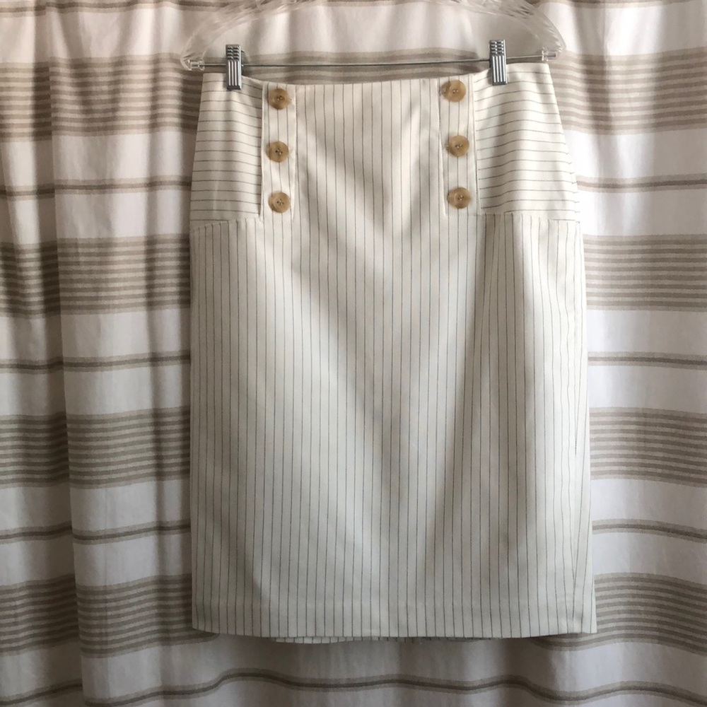 Ann Taylor Pinstripes Pencil Skirt - Sz. 6